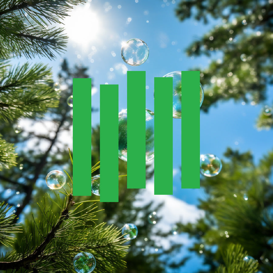 Beard Wash Refill - Coastal Pine