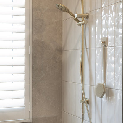 The Back Scrubber & Hook