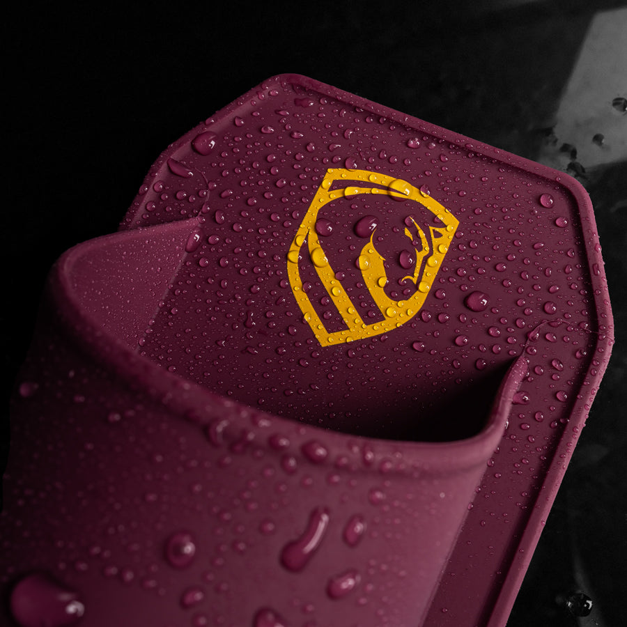 Brisbane Broncos