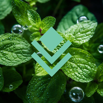 Face Wash Refill - Aussie Mint