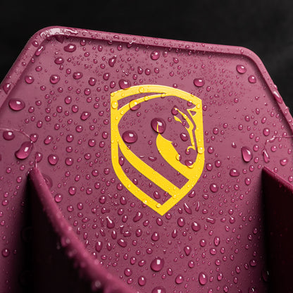 Brisbane Broncos